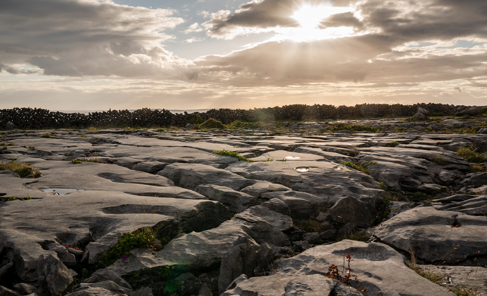Burren-Granite-side2 WP Engine Agency Partner Granite Digital delivers a high-performance, multilingual eCommerce experience for Ireland’s most beloved purveyor of smoked salmon.